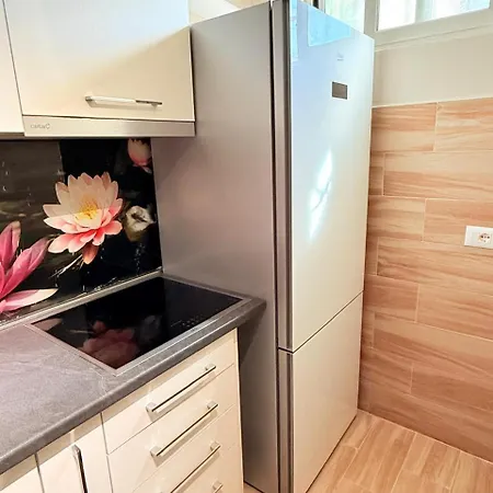 Apartment Elia